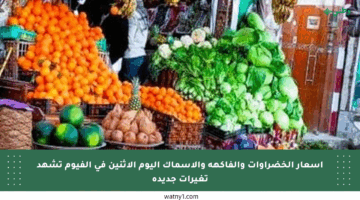 أسعار الخضراوات والفاكهة والأسماك اليوم الاثنين في الفيوم تشهد تغيرات جديدة